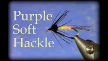 Video thumb for Purple Soft Hackle