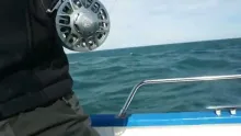 Video thumb for Bluefin tuna on the fly, the ultimate fishing experience!