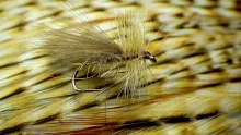 Video thumb for Basic Sedge/Caddis Dry Fly