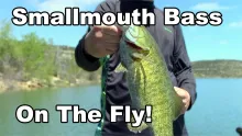 Video thumb for Smallmouth on the Fly