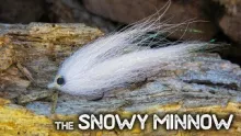 Video thumb for Snowy Minnow