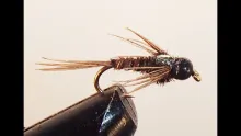 Video thumb for Tungsten Pheasant Tail Flashback Variation