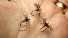 Video thumb for Waterhen Bloa Dry Fly