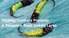 Video thumb for Tungsten Bead Caddis Larva