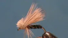 Video thumb for Olive Pheasant Tail Caddis