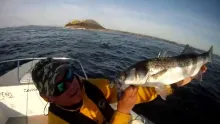 Video thumb for Saltwater Fly and Lure fishing Padstow Cornwall