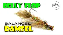 Video thumb for Belly Flop Balanced Damsel