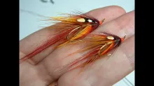 Video thumb for Shrimp Fly