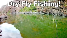 Video thumb for Beautiful Wild Trout - Black Canyon