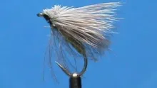 Video thumb for CDC Hairwing Caddis