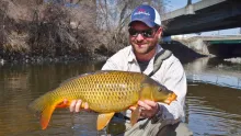 Video thumb for Carp Fly Fishing on the South Platte River