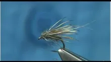 Video thumb for The Dead Caddis (DryFly)