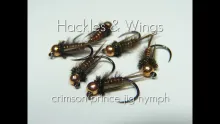 Video thumb for Crimson Prince Jig Nymph