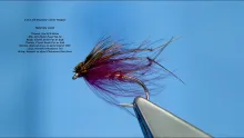 Video thumb for CDC All Rounder Claret Hopper