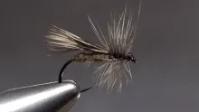 Video thumb for Chuck Caddis