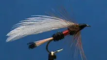 Video thumb for Royal Coachman Streamer