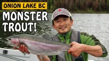 Video thumb for Jungle Monster Trout