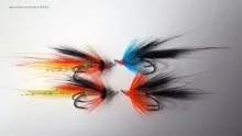 Video thumb for Haugur Salmon/Seatrout Fly