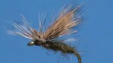 Video thumb for Cutters Caddis