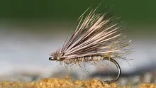 Video thumb for Craig Mathews' X-Caddis