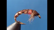 Video thumb for Czech Mate Nymph