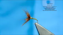 Video thumb for Tenkara style fly