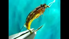 Video thumb for McPhail Caddis Pupa