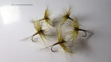 Video thumb for Devaux Style Dry Fly