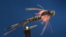 Video thumb for Hot Spot Pheasant Tail