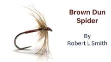 Video thumb for Brown Dun Spider