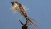 Video thumb for Generic Mayfly Nymph