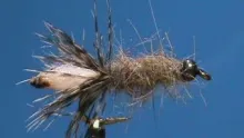 Video thumb for Peeping Caddis