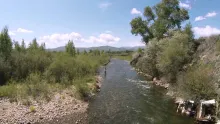 Video thumb for Fly Fishing With Eagles