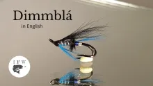 Video thumb for Dimmblá