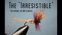 Video thumb for Irresistible (Part 1 of 2)