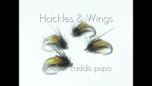 Video thumb for October Caddis Pupa