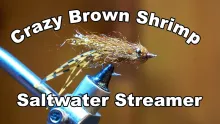 Video thumb for Crazy Brown Shrimp