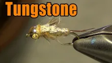 Video thumb for Barr's Tungstone Stonefly Nymph