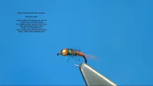 Video thumb for Small Polish Pheasant Tail Nymph