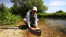 Video thumb for Fishing a Chalkstream at Mayfly Time