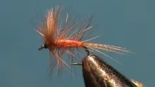 Video thumb for Catskill - a classic dry fly