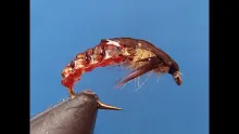 Video thumb for Knotted Nymph