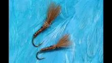 Video thumb for Pheasant Tail Shuttlecock