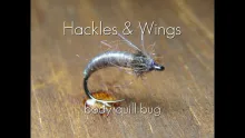 Video thumb for Body Quill Bug