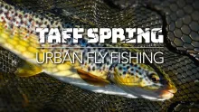 Video thumb for Taff Spring