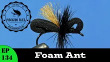 Video thumb for Foam Ant