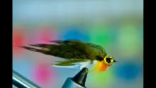 Video thumb for Bunny Gill Streamer Fly