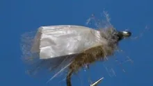 Video thumb for GB Tent Wing Caddis