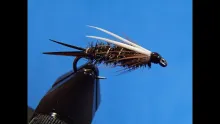 Video thumb for Prince Nymph