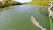 Video thumb for Fly fishing on the lake 